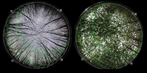 Bild Fisheye
